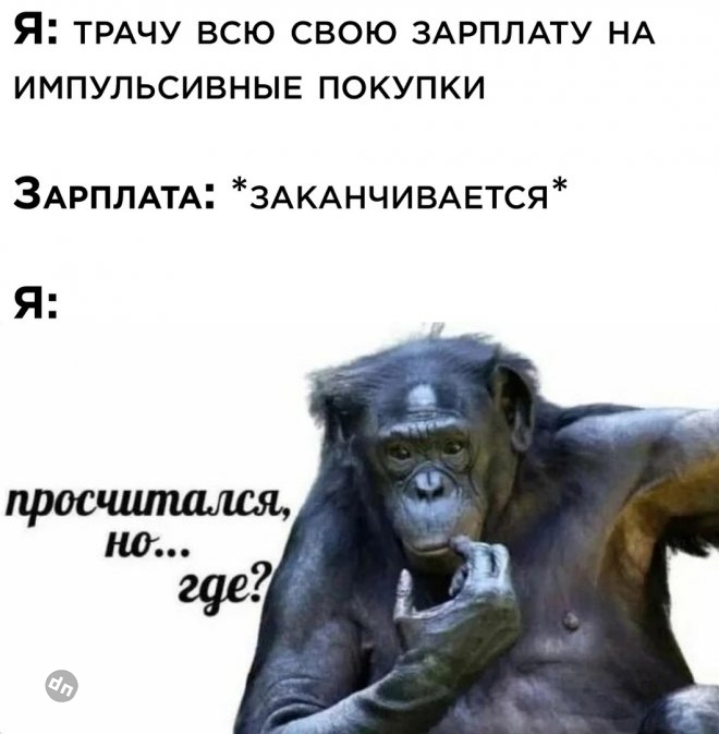 Самые веселые картинки