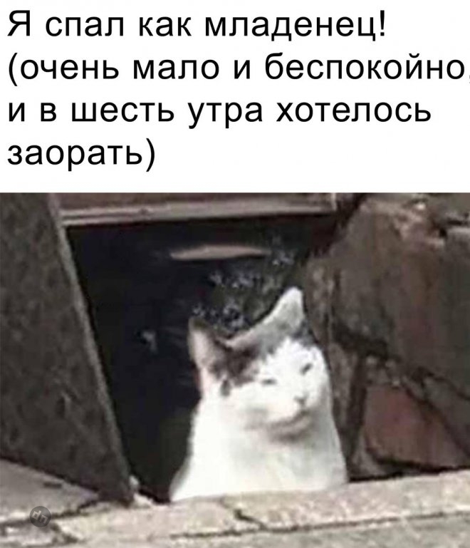 Самые веселые картинки