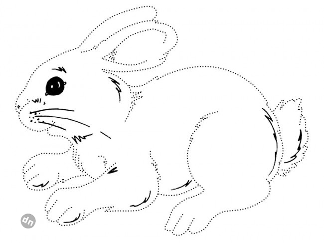 Заяц для срисовки