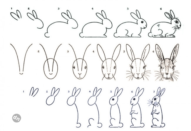 Заяц для срисовки