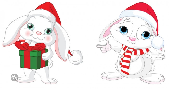 Заяц для срисовки