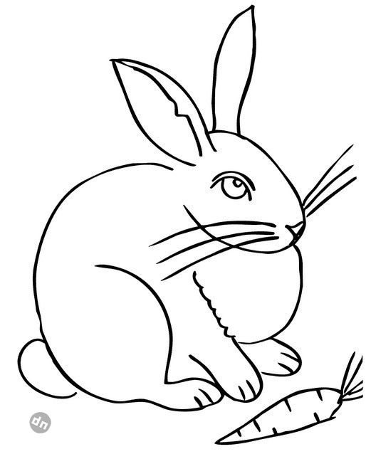 Заяц для срисовки