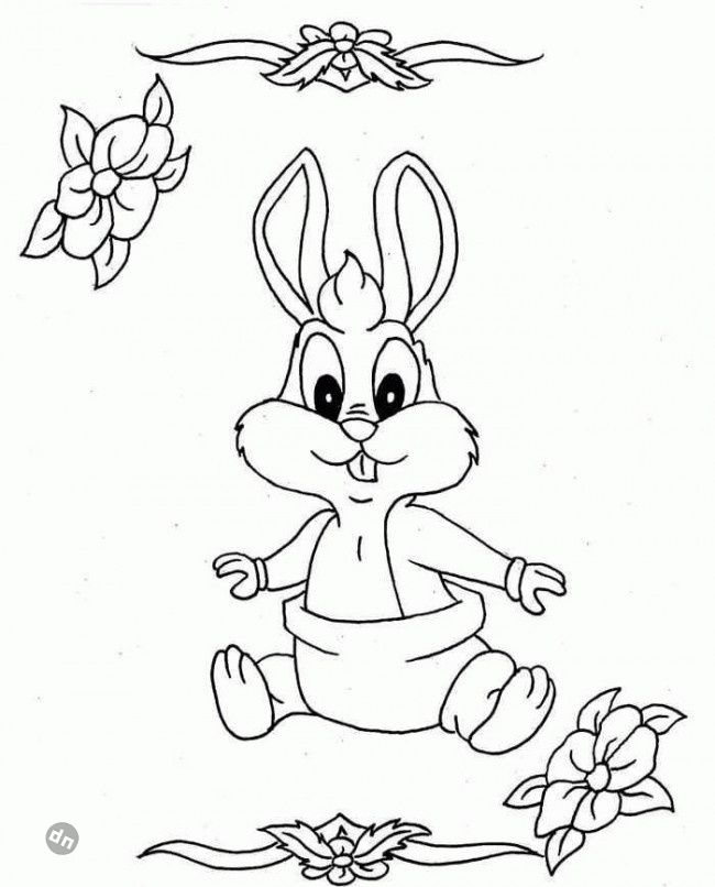 Заяц для срисовки