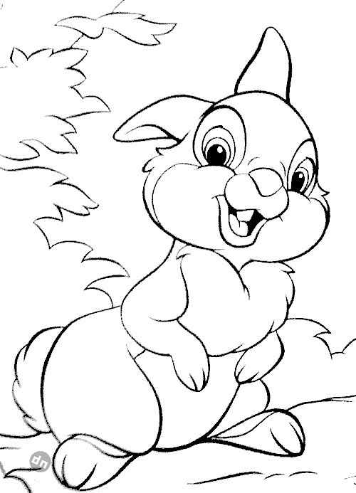 Заяц для срисовки