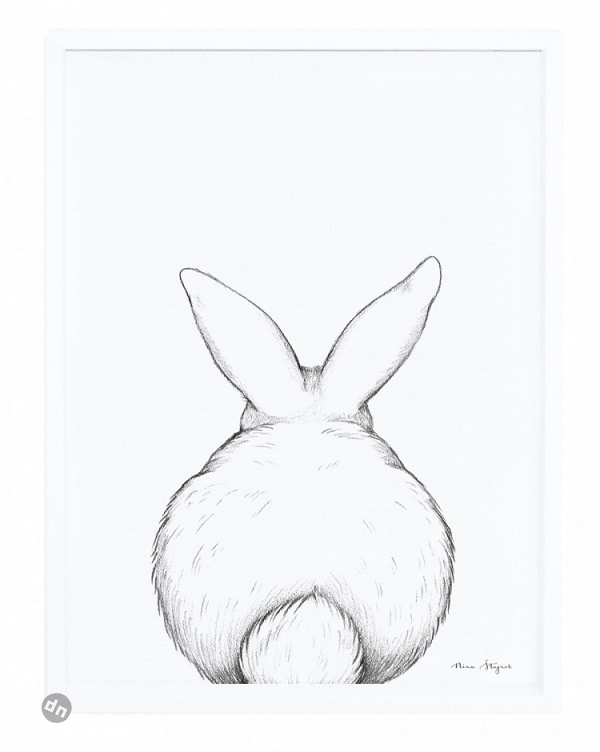 Заяц для срисовки