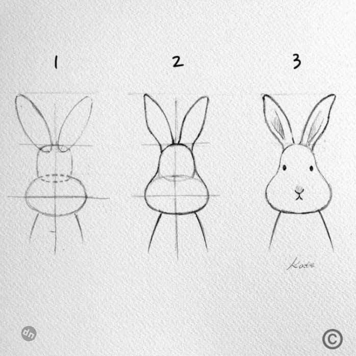 Заяц для срисовки