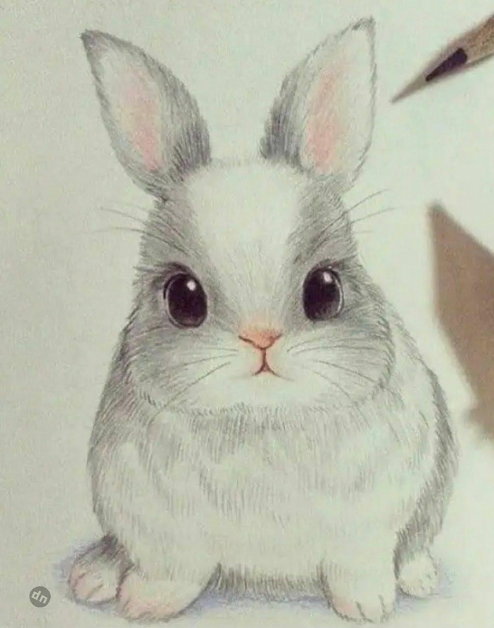 Заяц для срисовки