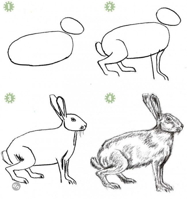 Заяц для срисовки