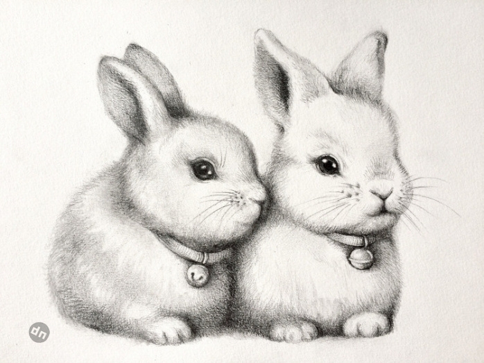 Заяц для срисовки