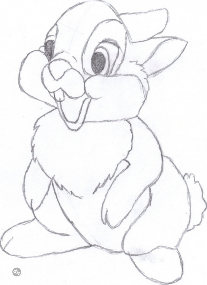 Заяц для срисовки