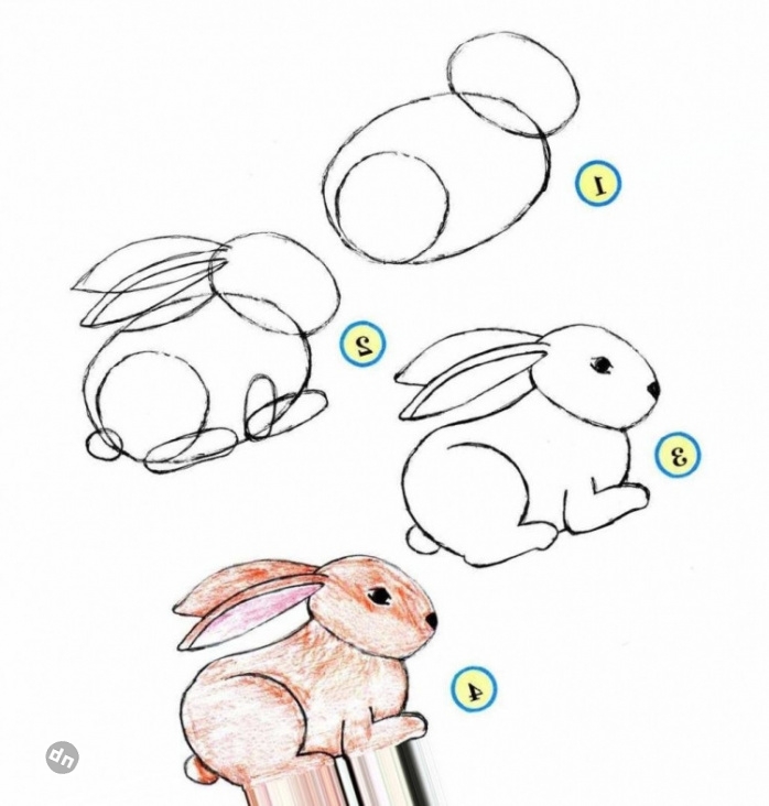 Заяц для срисовки