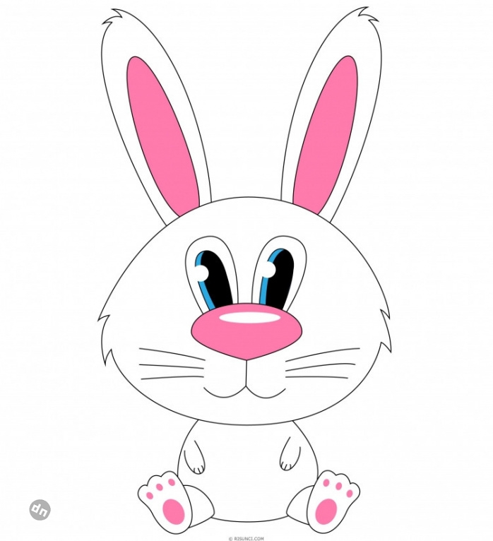 Заяц для срисовки