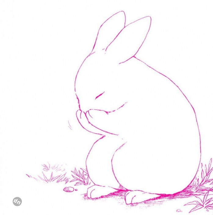 Заяц для срисовки