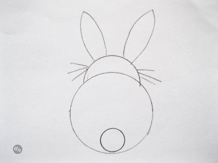 Заяц для срисовки