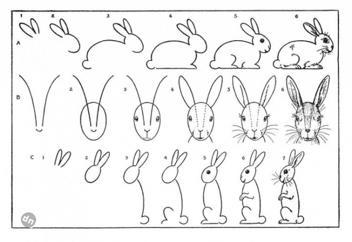 Заяц для срисовки