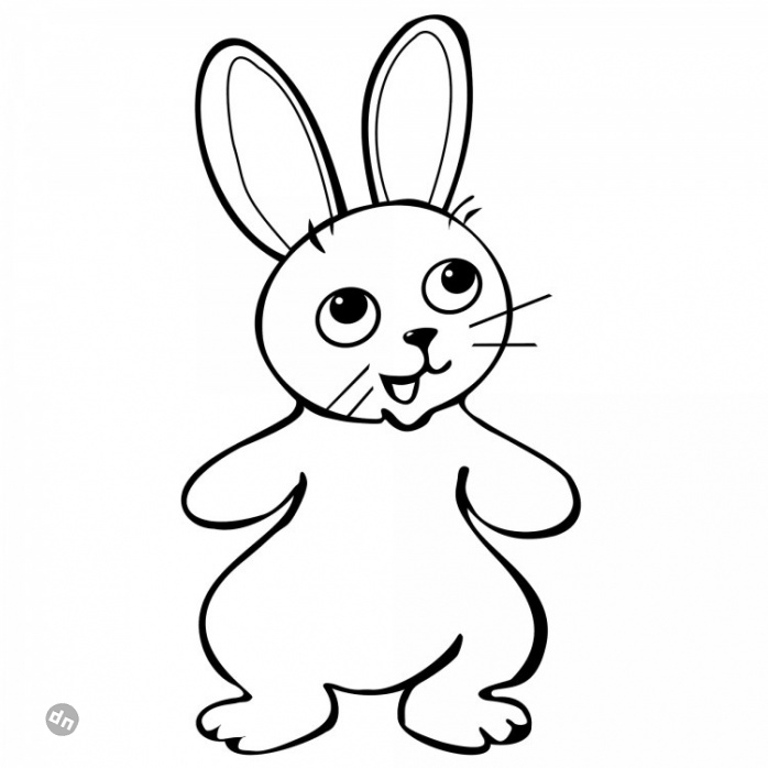 Заяц для срисовки