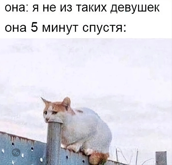 Взрослый юмор