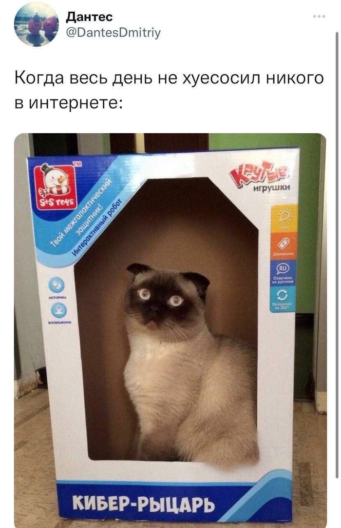 Комментария из соцсетей