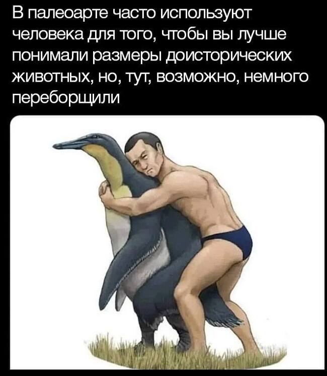 Комментария из соцсетей