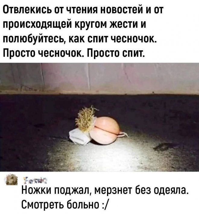 Комментария из соцсетей