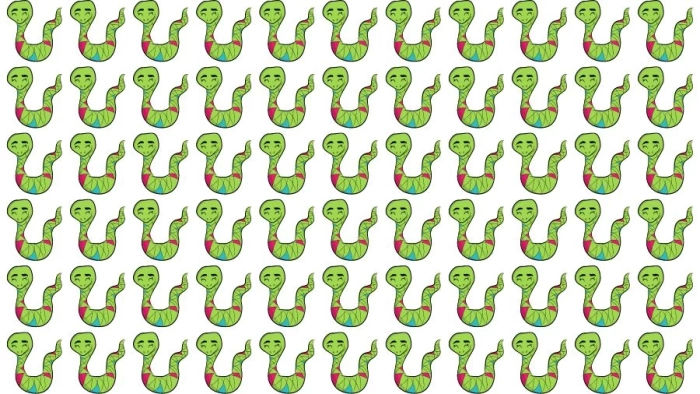 Оптическая иллюзия