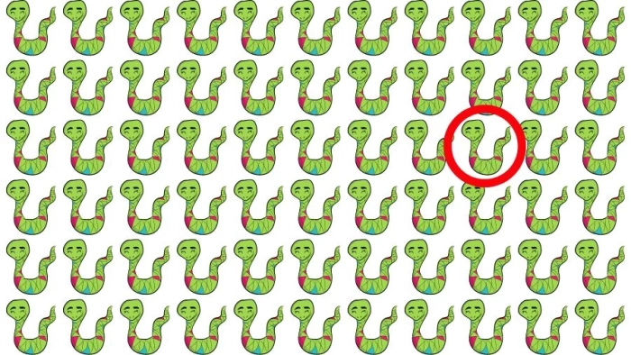 Иллюзия ответ