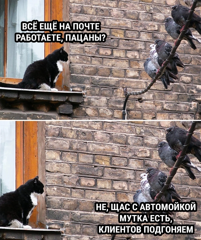 Взрослый юмор