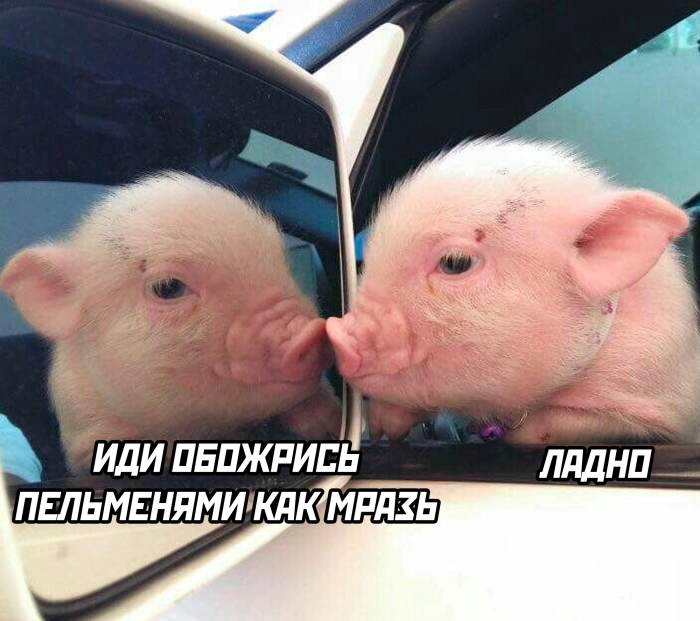 Взрослый юмор