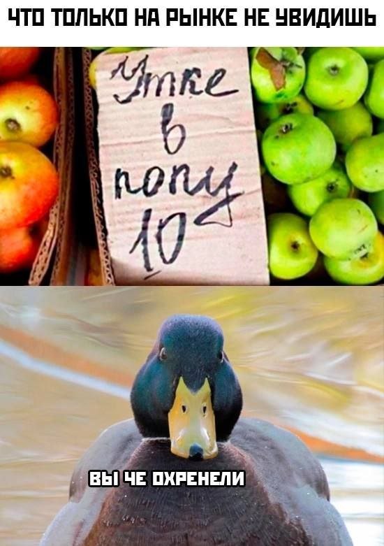 Смешной мем лучше любой шутки