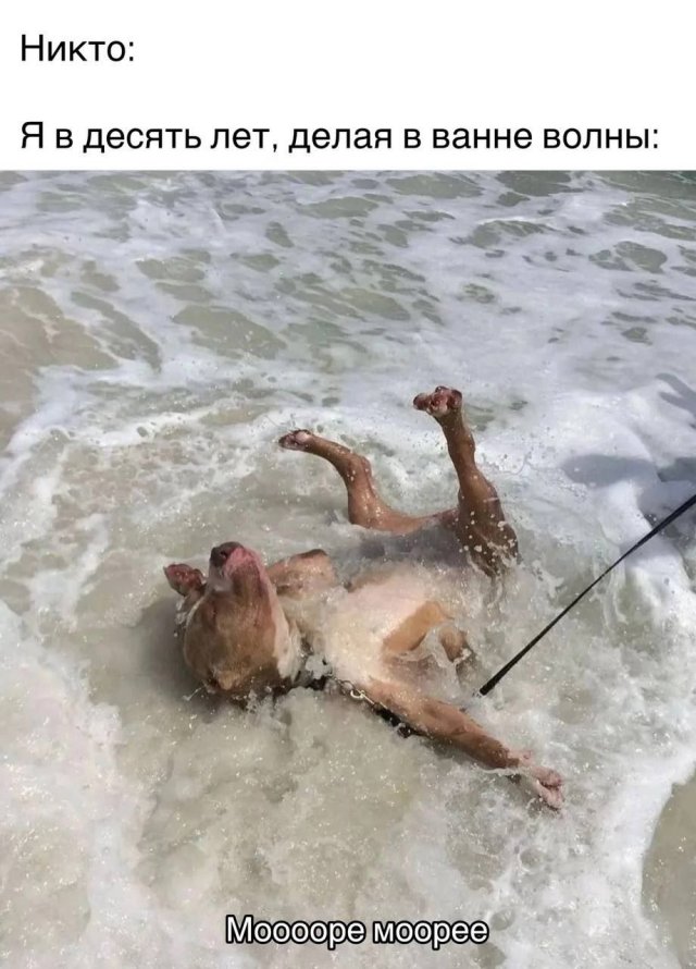 Смешной мем лучше любой шутки