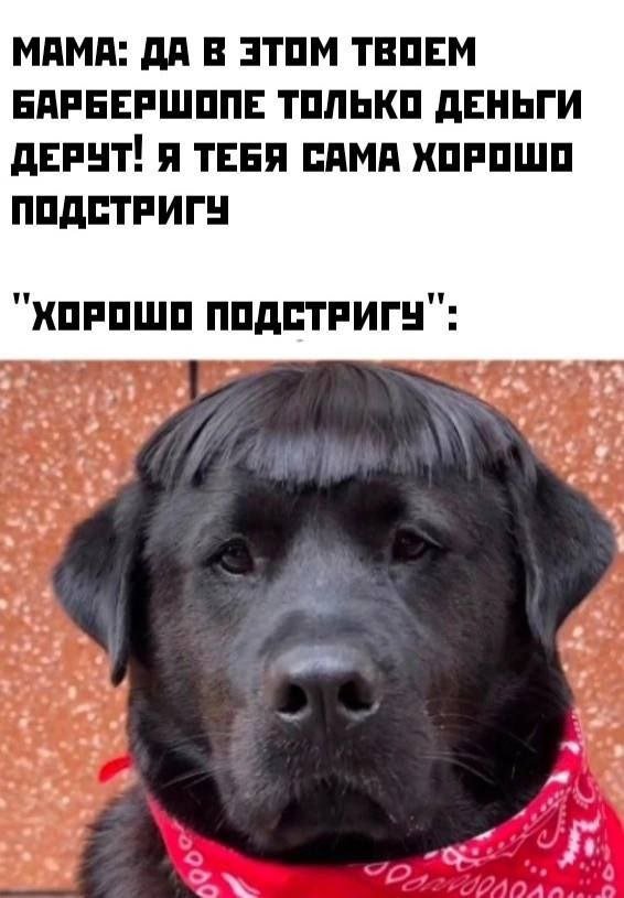 Смешной мем лучше любой шутки