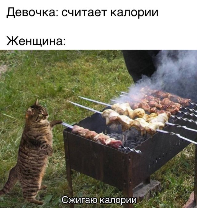 Смешной мем лучше любой шутки
