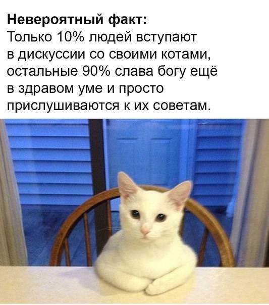 Смешной мем лучше любой шутки