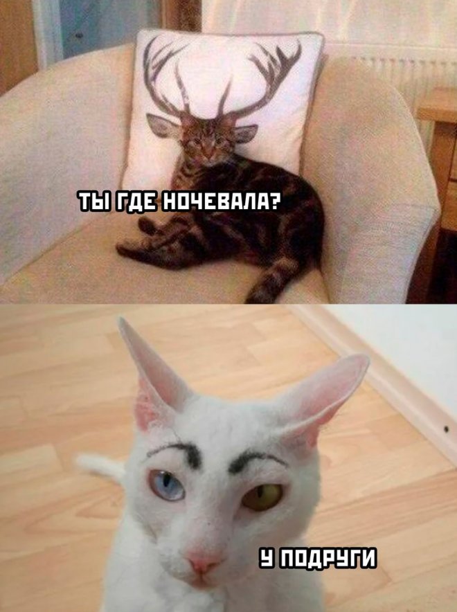 Смешной мем лучше любой шутки