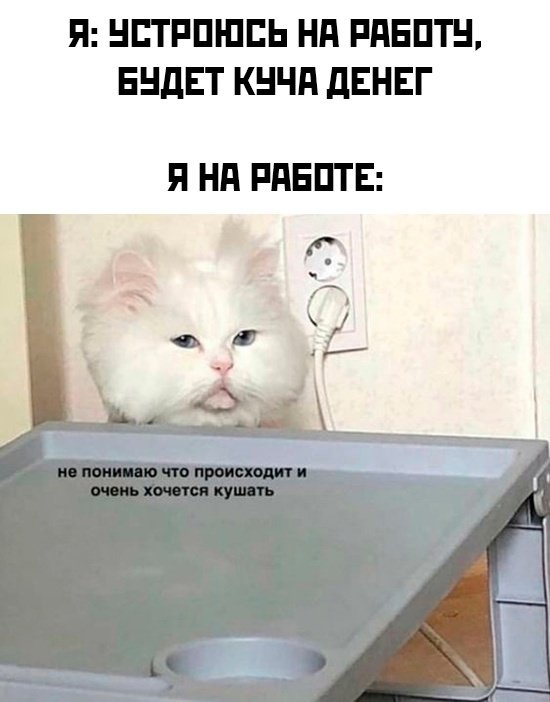 Смешной мем лучше любой шутки