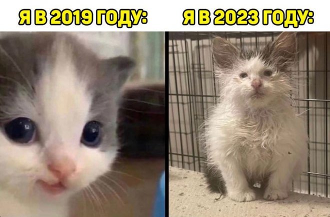 Смешной мем лучше любой шутки