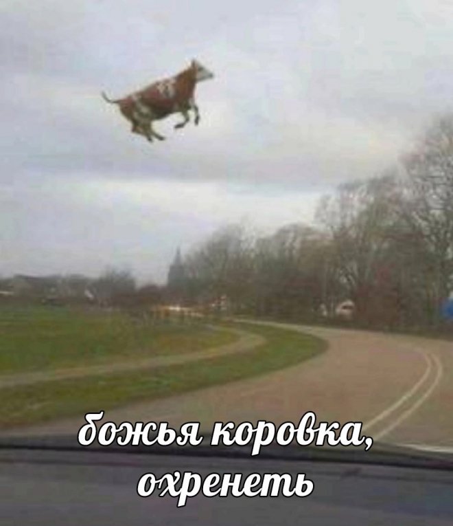 Смешной мем лучше любой шутки