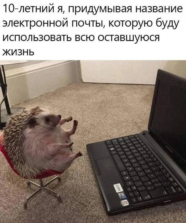 Смешной мем лучше любой шутки