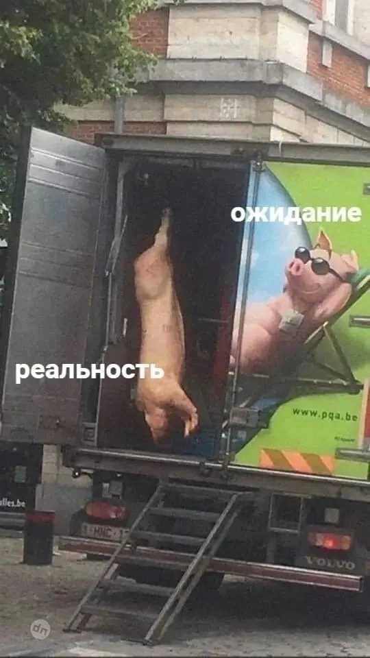 Взрослый юмор