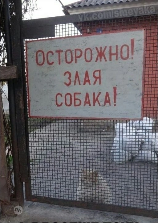 Взрослый юмор