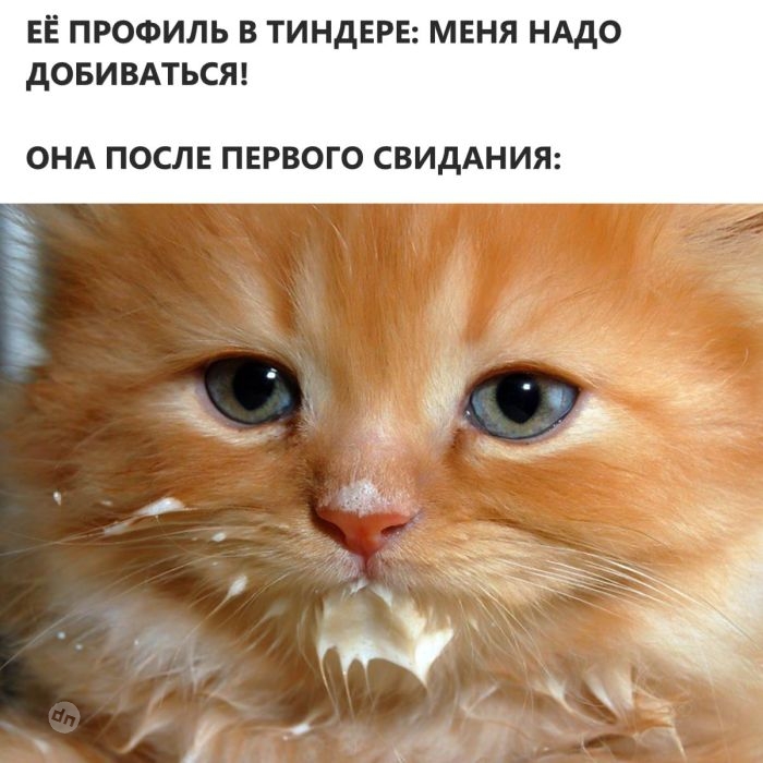 Взрослый юмор: Мемы, Картинки с надписями