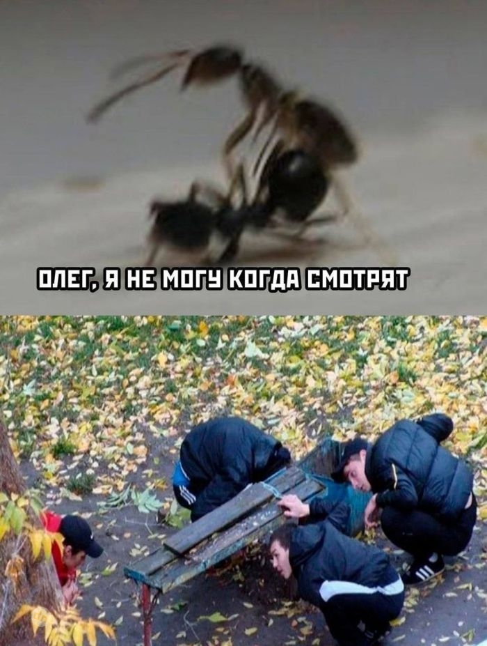 Взрослый юмор: Мемы, Картинки с надписями