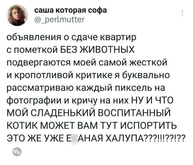 Юмор на Досуге