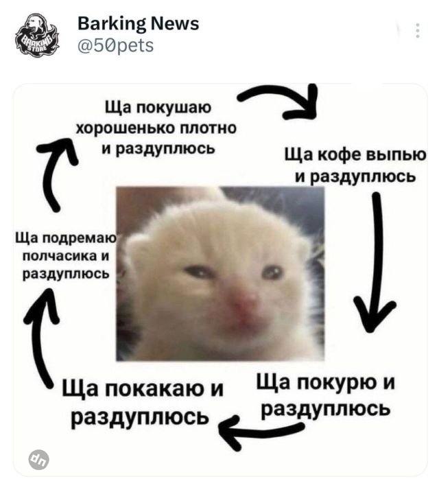 Юмор на Досуге