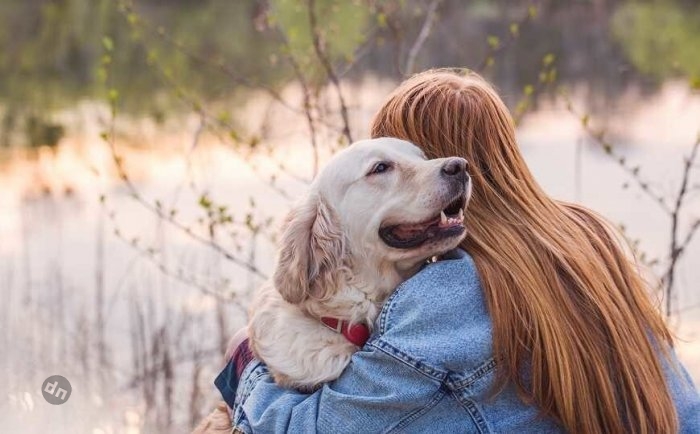 Позитивные собаки