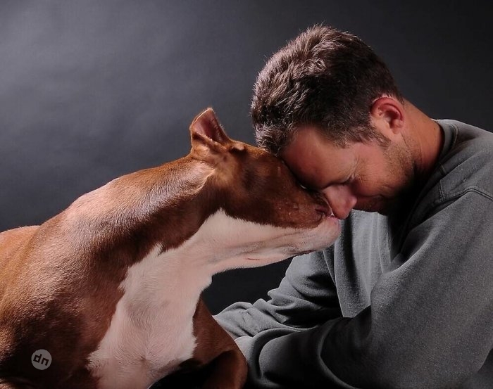 Позитивные собаки