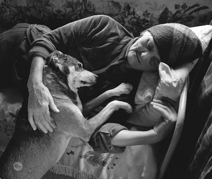 Позитивные собаки