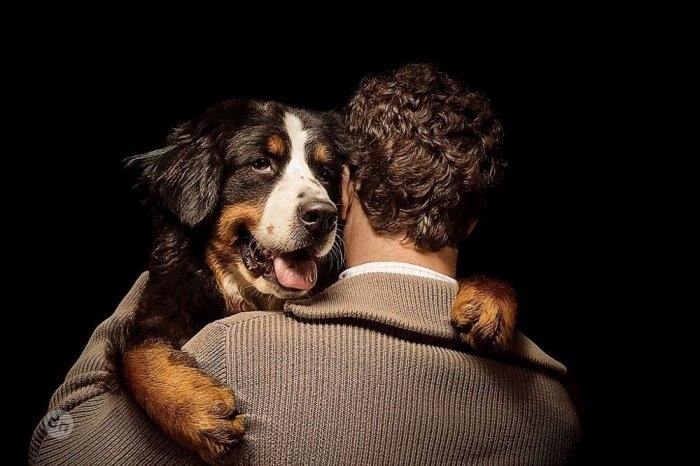 Позитивные собаки