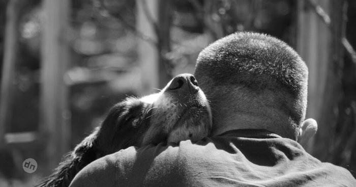 Позитивные собаки