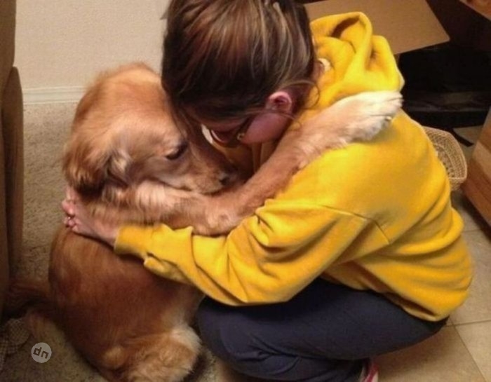 Позитивные собаки